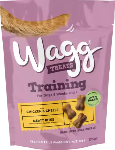Wagg Treats Training