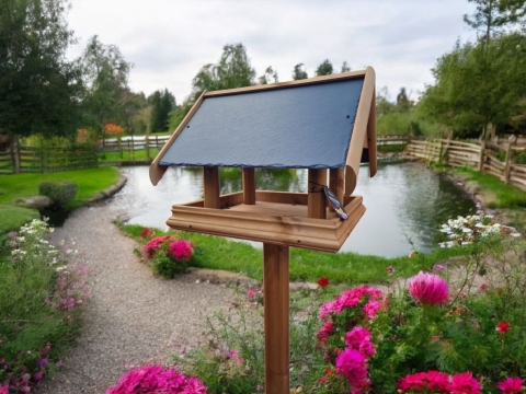 Bird Stands