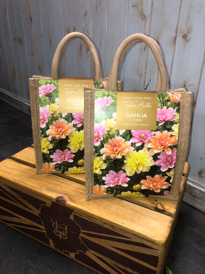 Grow Your Own Dahlia Gift Bag