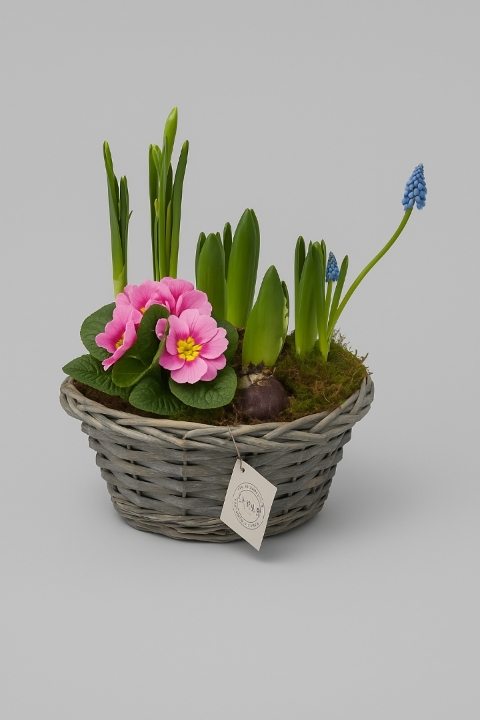 Indoor Planted Basket