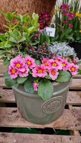 Spring Mixed Garden Planter