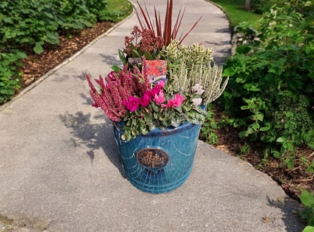 Premium Large Mixed Seasonal Planter in Glazed Pot