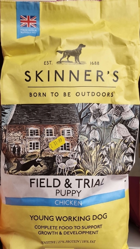 Skinners Field and Trial Puppy Chicken