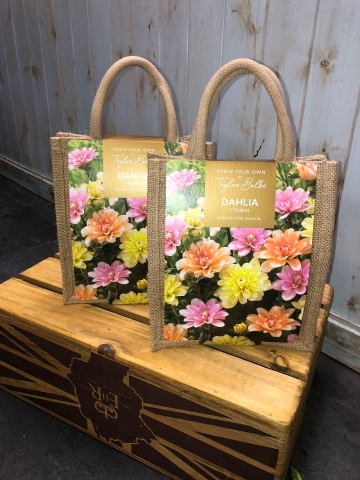 Grow Your Own Dahlia Gift Bag